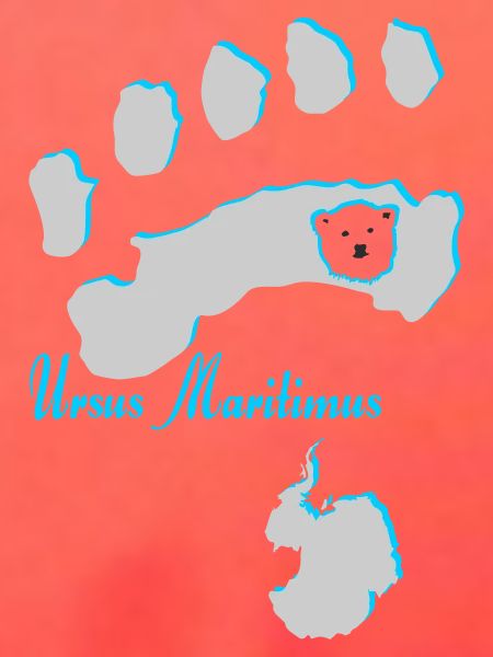 Eisbär 7