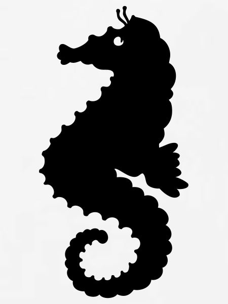 Seepferdchen