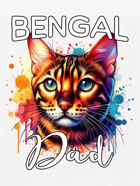 Bengalkatze Papa