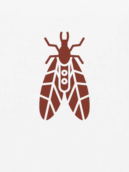 Zerbrechliche Köcherfliege
