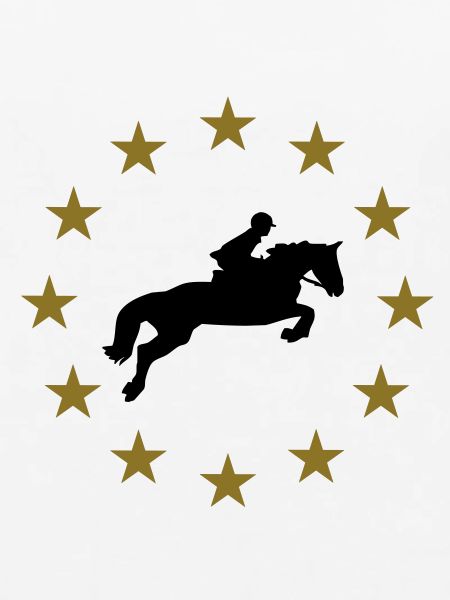Springen Pferd & Sternen