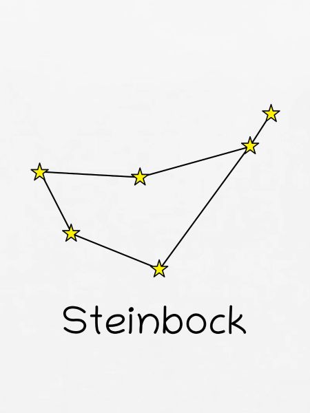 Sternzeichen Steinbock