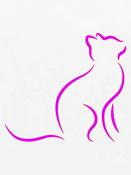 Katze