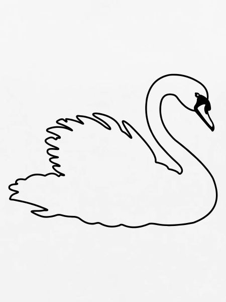 Transparenter Schwan