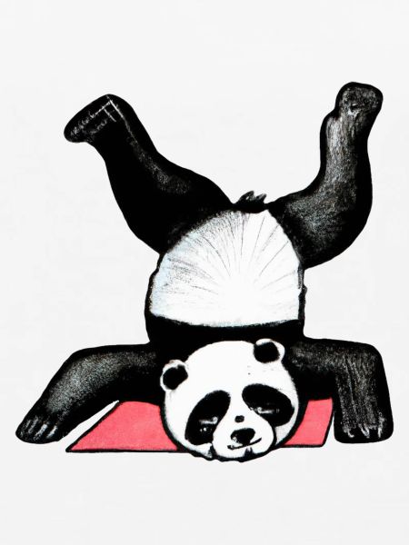 Panda Akrobat auf Matte