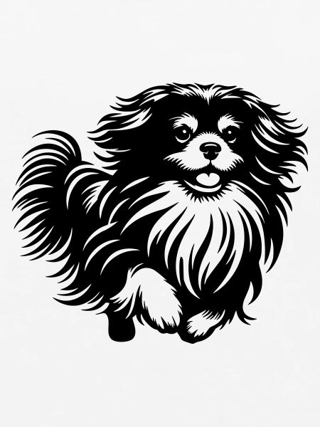 Tibet Spaniel