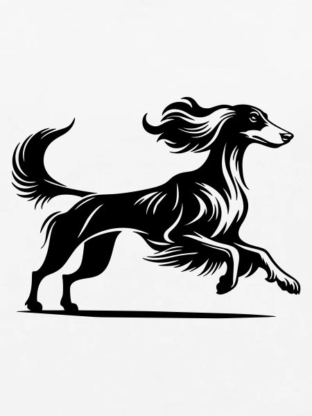 Saluki