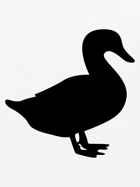 ente / duck / quack
