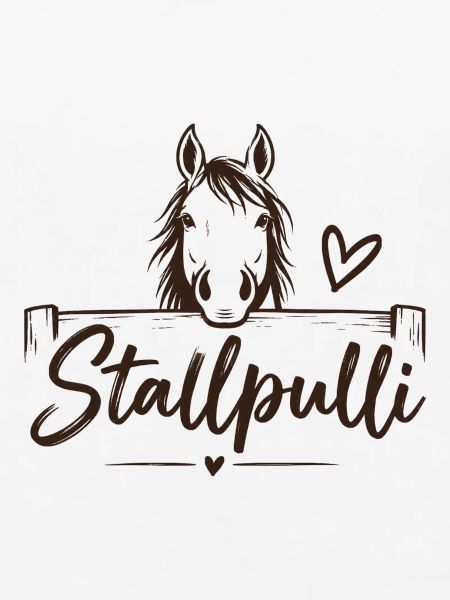 Stallpulli - Pferd - Reiterin - Stall - Pullover