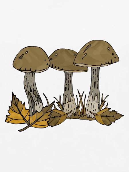 Pilze