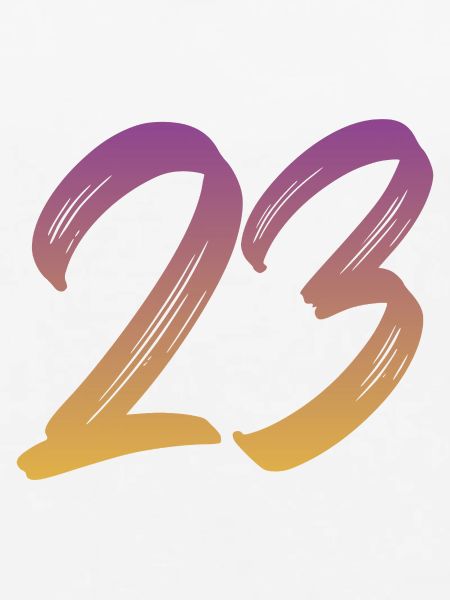23