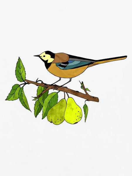 Bunter Vogel