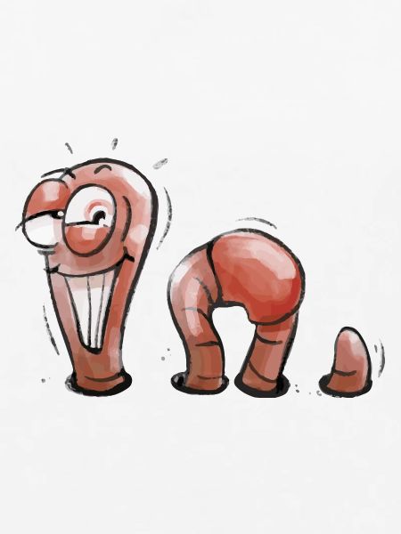 Wurmi