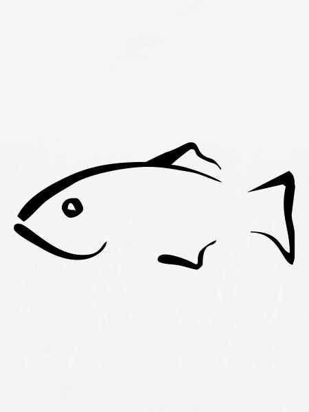 Fisch