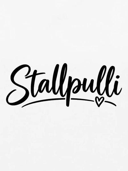 Stallpulli - Pferd - Reiterin - Stall - Pullover