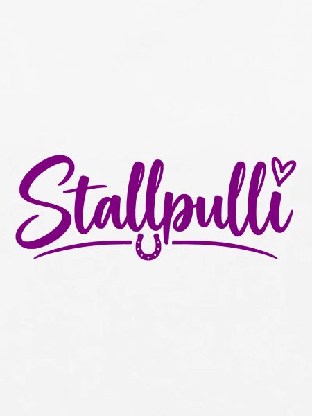 Stallpulli - Pferd - Reiterin - Stall - Pullover