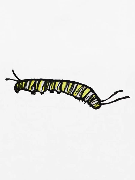 Gestreifte gelbe Raupe