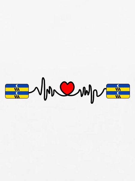 Ameland Pulse-Logo – Inselstil