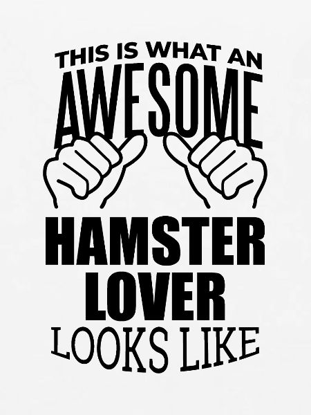 Hamster-Hamster-Hamster