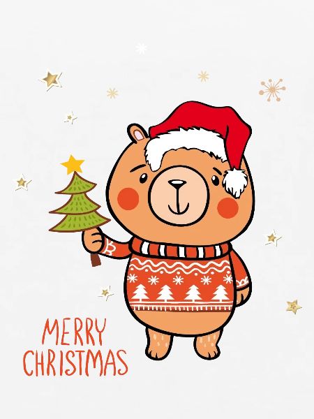 Merry Christmas Teddy
