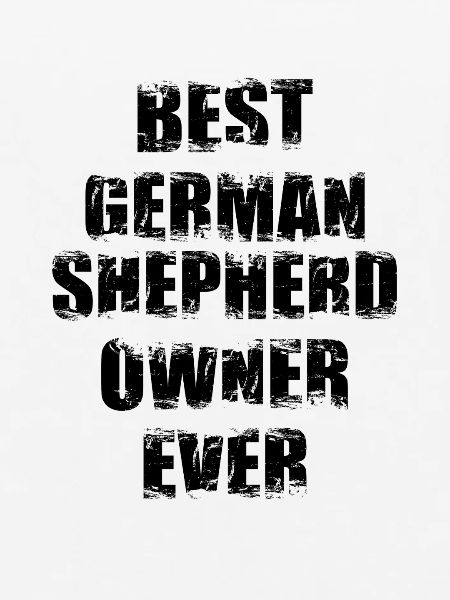 Bester Schäferhund Besitzer