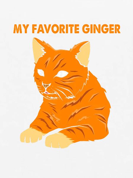 Tabby Katze