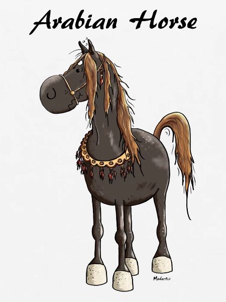 Verträumtes Araber Pferd - Araber