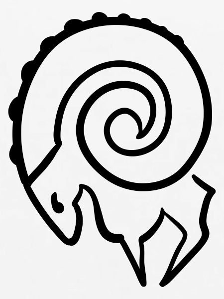 widder