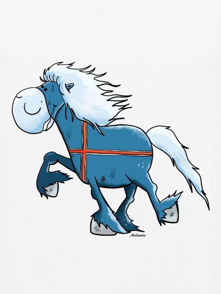 Isländer mit Flagge