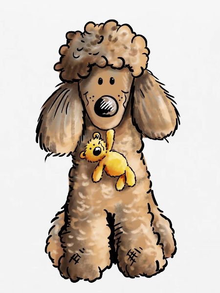 Pudel mit Teddy