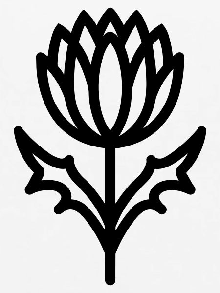 Distelblüte
