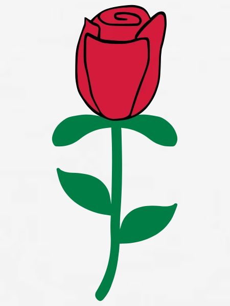 Róże