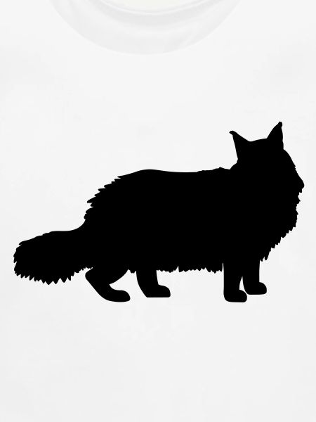 Maine Coon