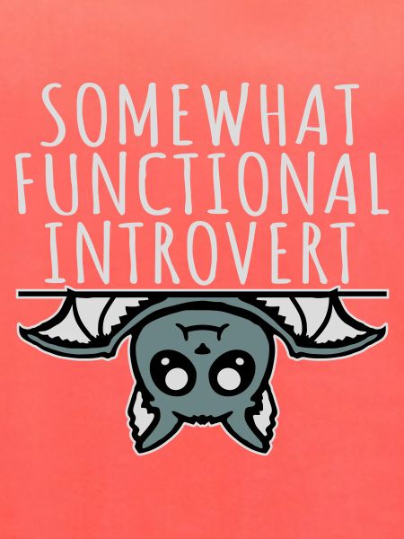 Somewhat Functional Introvert Süße Fledermaus