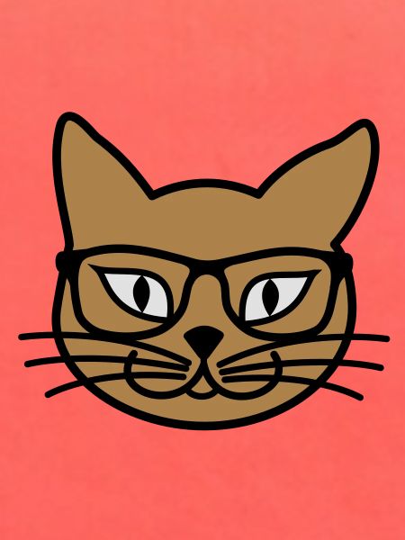 Nerd Kitteh