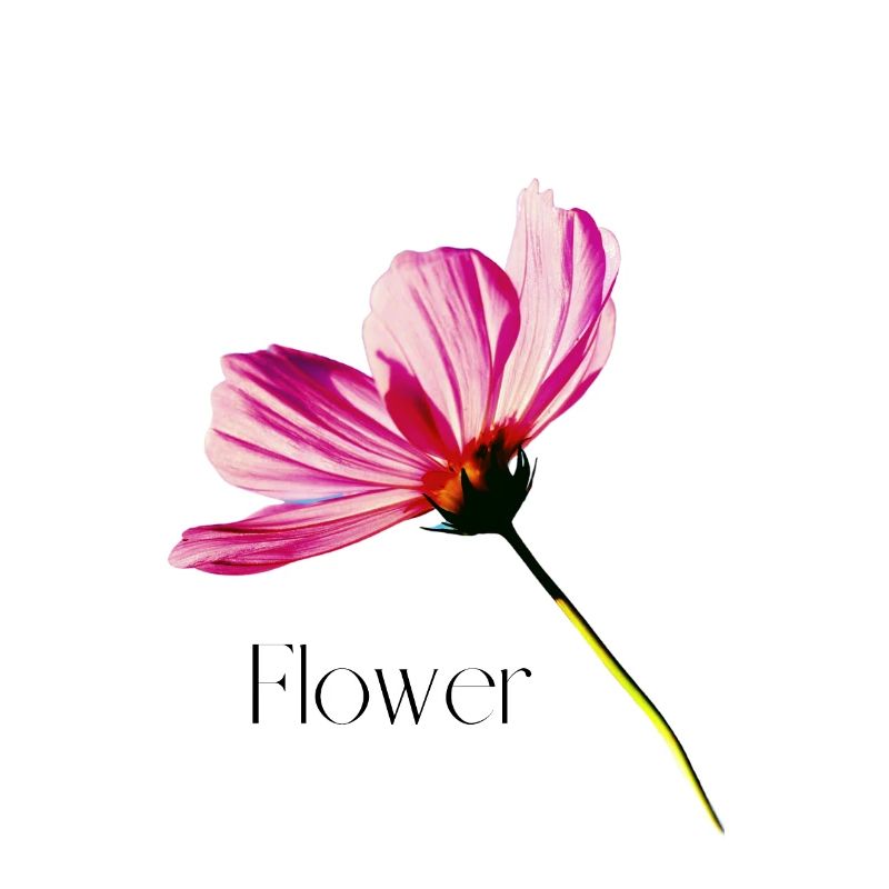 Fleur
