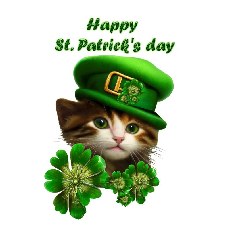 Un chaton mignon célèbre la Saint-Patrick