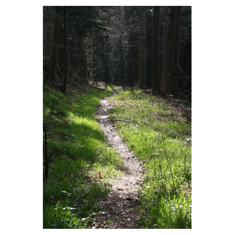 GREEN WAY