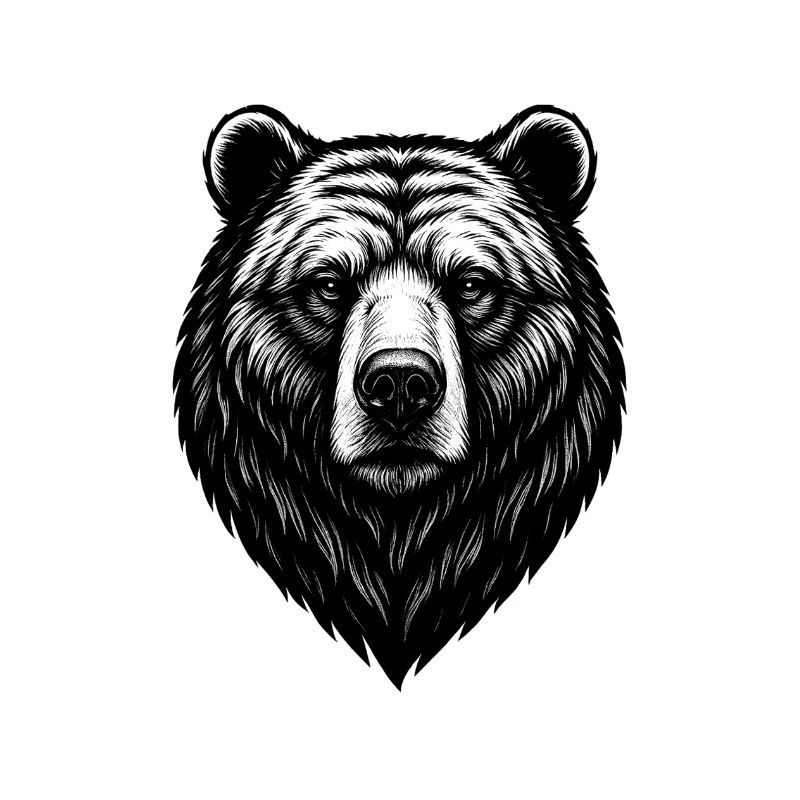 Bear Head Line Drawing Black & White