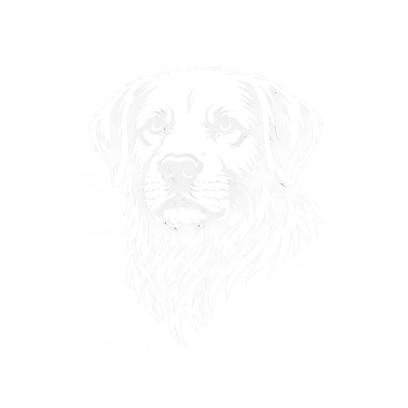 Labrador head in vector tattoo style