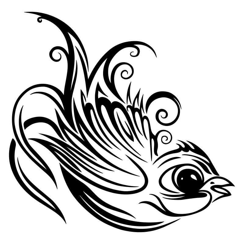 Swallow, spring, spring messenger