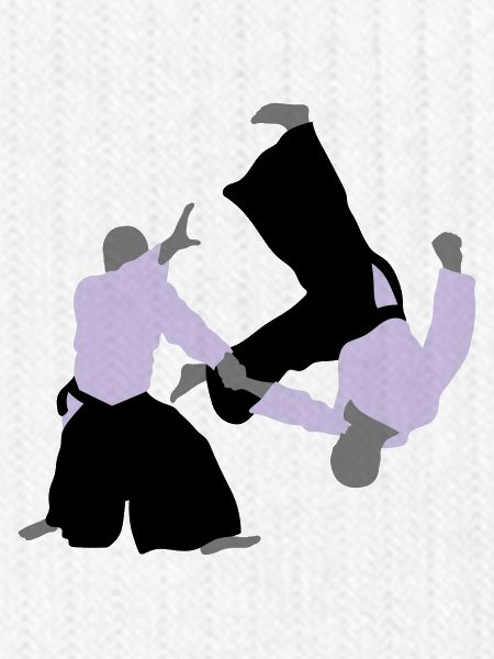 aikido
