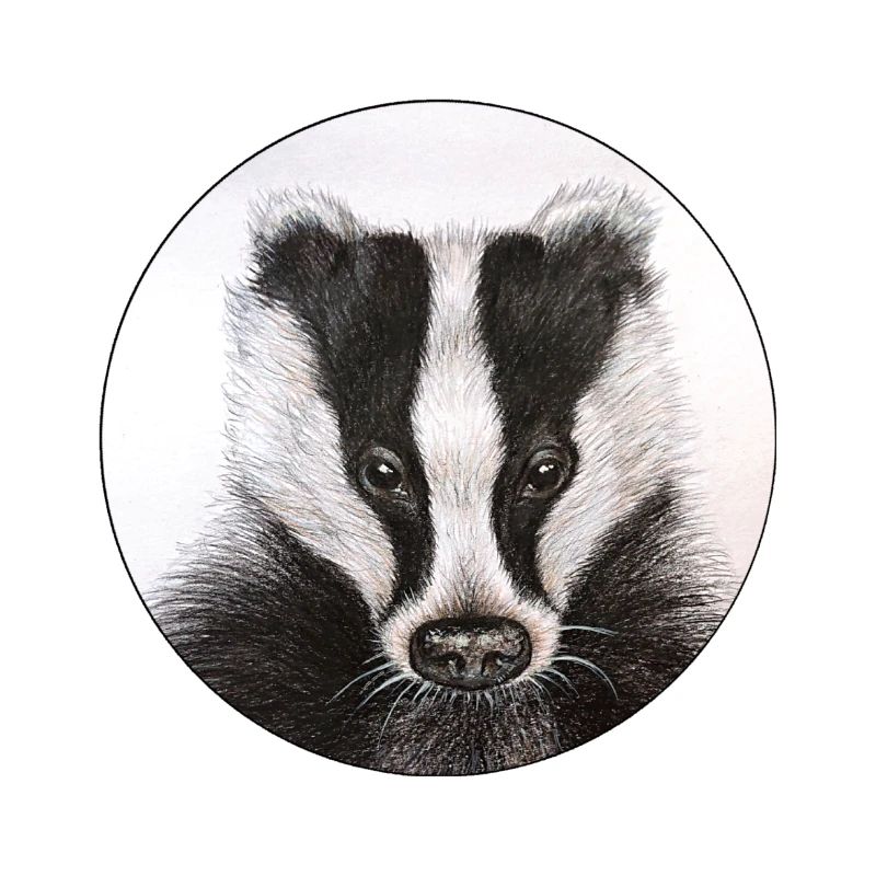 Dachs /Badger