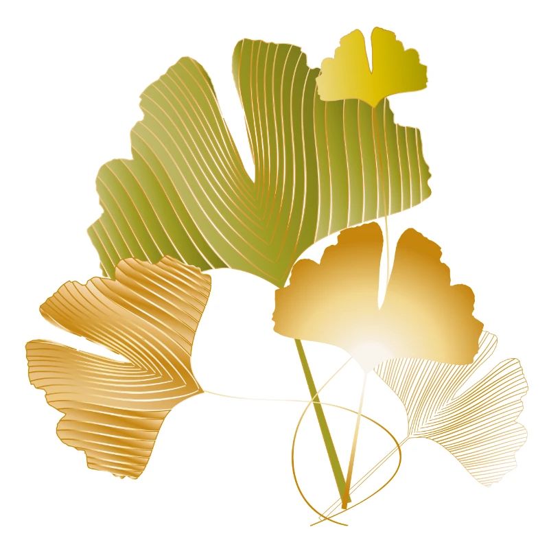 Feuilles élégantes de ginkgo doré et vert
