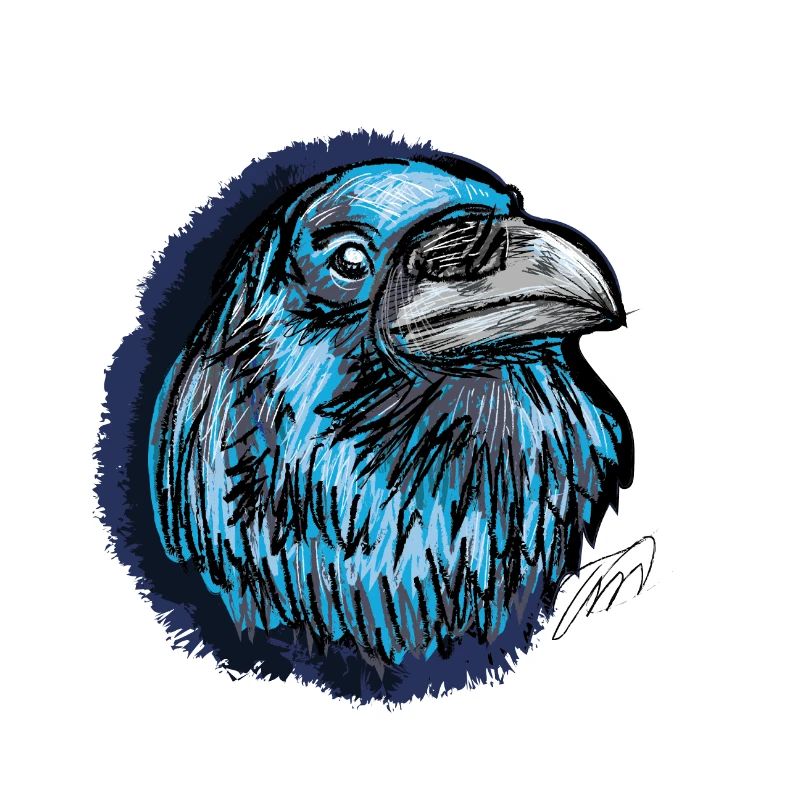 Der blaue Rabe, Tier Geschenke