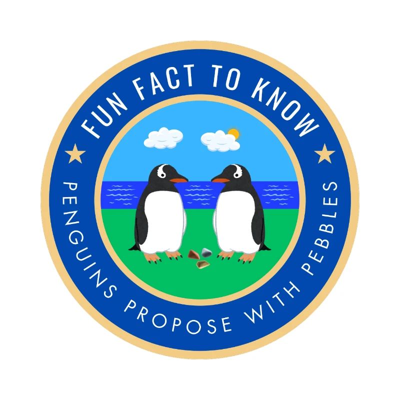 Penguins propose with pebbles