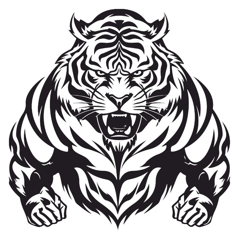 Tiger Workout Gym