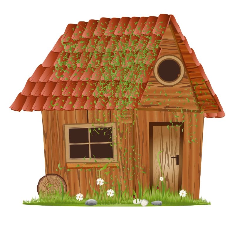 small windswept rustic hut