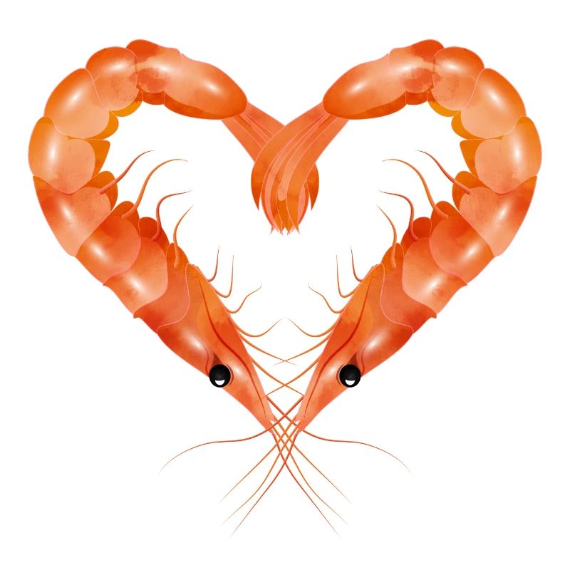 zwei Garnelen oder Shrimps in Herz Form gestaltet