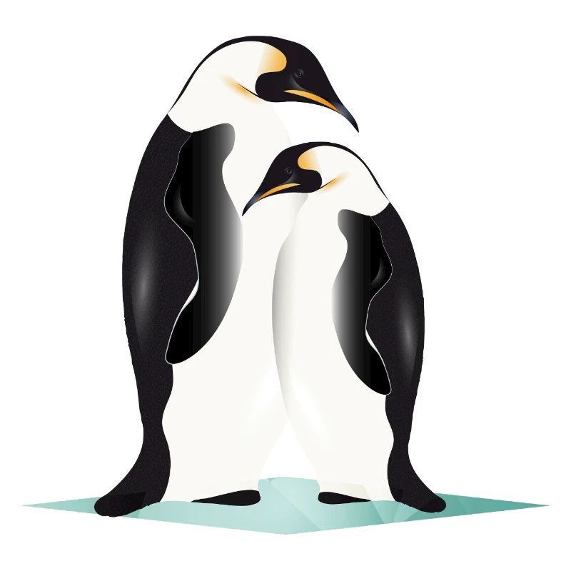 Two elegantly drawn penguins
